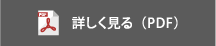 PDFで詳しく見る